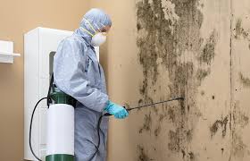 Best Attic Mold Removal  in Merced, CA